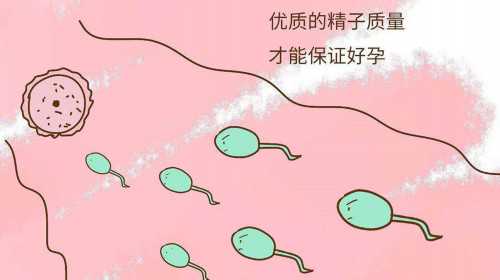 北京恒生医院供卵做三代试管婴儿要等多久？,长春妇产医院生殖科
