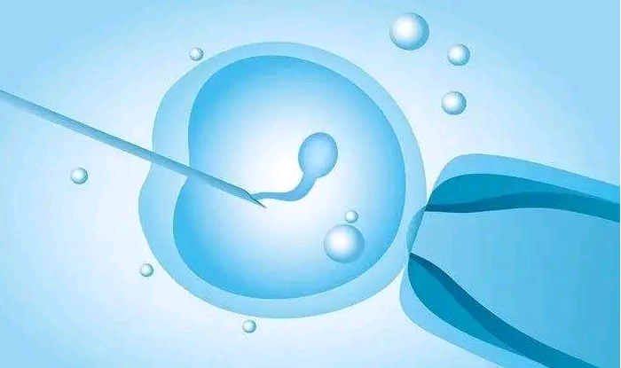 长春试管代孕谁做过|与海外试管婴儿成功率有关的因素有哪些